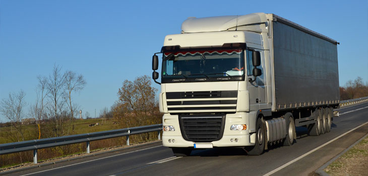 Custodia de Mercadería en tránsito
